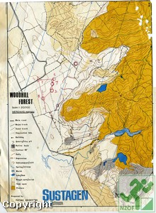 Ralph King map 2