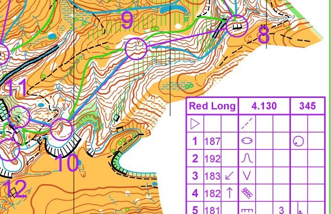 Hapua JWOC Trial Route Choices